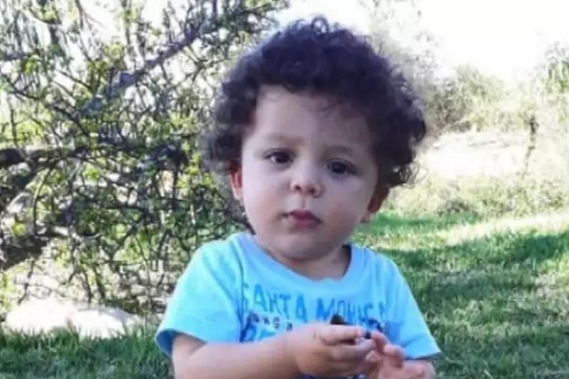 ES: Bebê de 1 ano morre após picada de escorpião