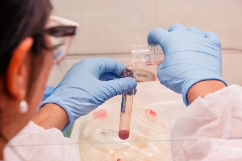 Variante de Sorocaba é mais transmissível e resistente às vacinas, diz estudo