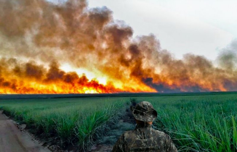 Polícia Ambiental realiza operação para coibir incêndios em vegetações